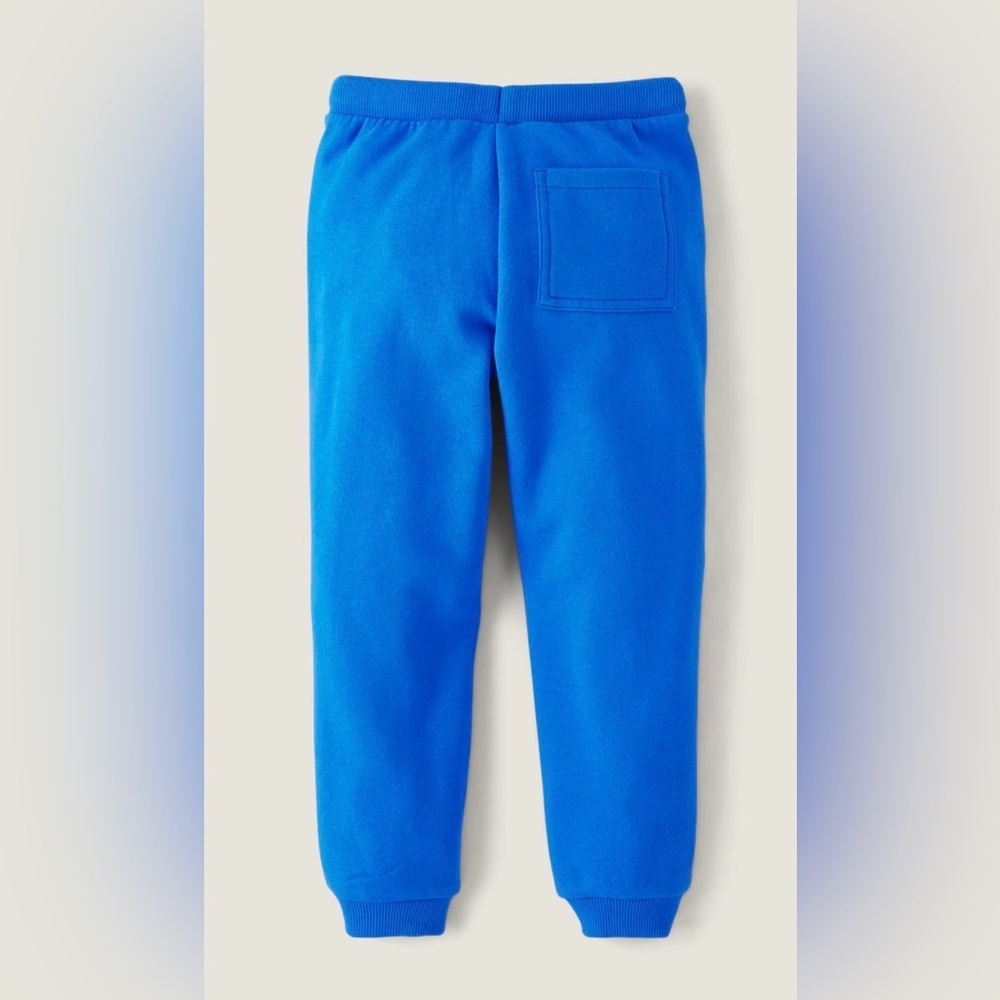 Gymboree Boys Colorblock Fleece Jogger Pants - Dino Friends - Picture 3 of 7